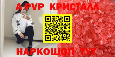 молекула духа Донской