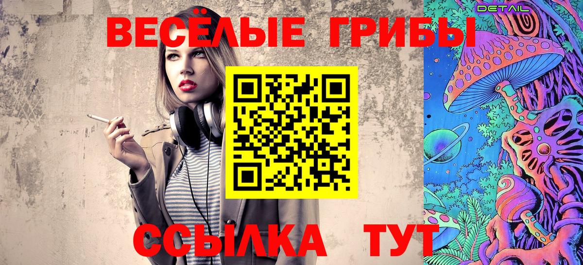 Галлюциногенные грибы Cubensis  Вход с VPN  Бузулук 