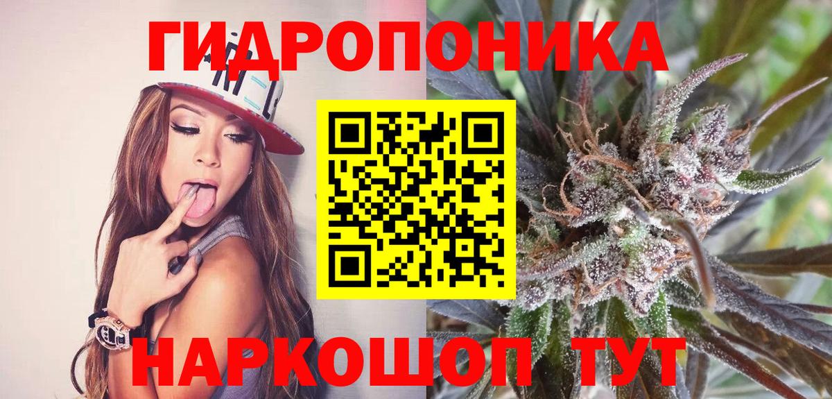 Каннабис OG Kush Бузулук
